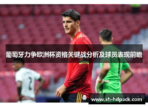 葡萄牙力争欧洲杯资格关键战分析及球员表现前瞻