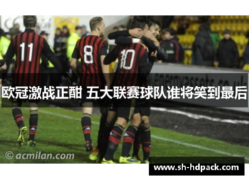 欧冠激战正酣 五大联赛球队谁将笑到最后