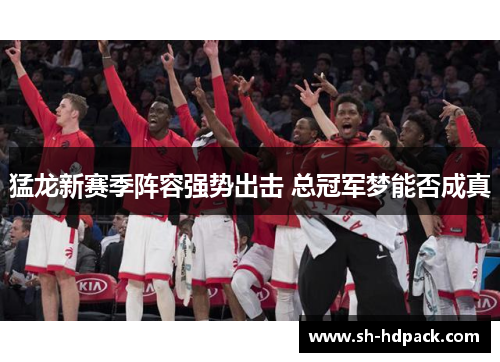 猛龙新赛季阵容强势出击 总冠军梦能否成真
