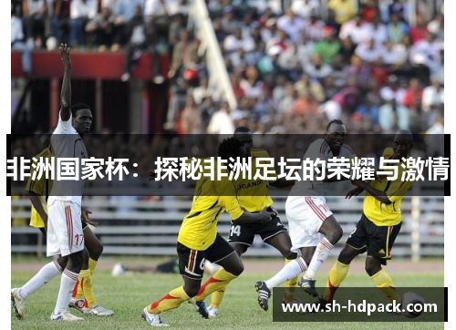 非洲国家杯：探秘非洲足坛的荣耀与激情
